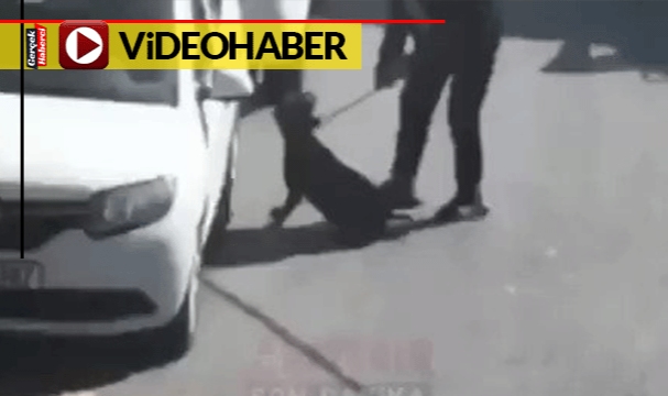 Vicdanları sızlatan görüntü: Köpeğe sokak ortasında böyle işkence etti