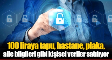 100 liraya tapu, hastane, plaka, aile bilgileri gibi kişisel veriler satılıyor