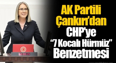 AK Partili Çankırı’dan CHP’ye “7 Kocalı Hürmüz” Benzetmesi