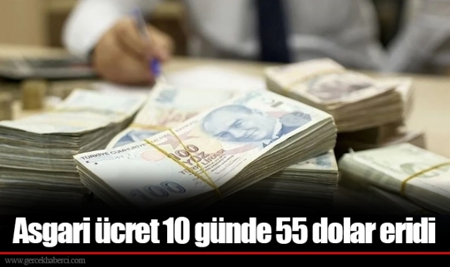 Asgari ücret 10 günde 55 dolar eridi