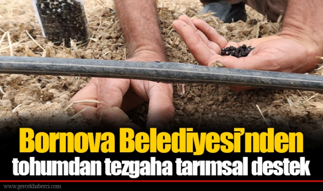 Bornova Belediyesi’nden tohumdan tezgaha tarımsal destek