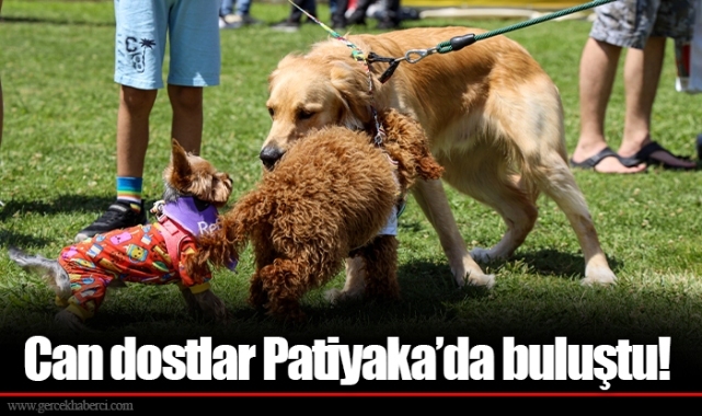 Can dostlar Patiyaka’da buluştu!