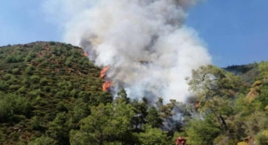 Cesedi ortadan kaldırırken ormanı yakmışlardı; Marmaris'teki cinayetin detayları ortaya çıktı