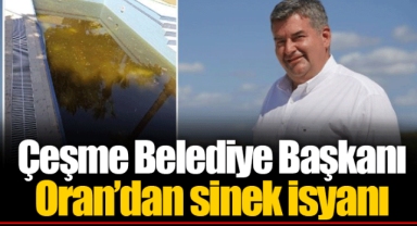 Çeşme Belediye Başkanı Oran'dan sinek isyanı