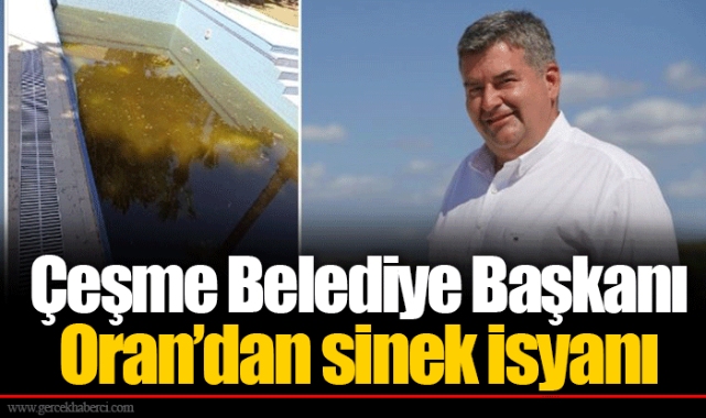 Çeşme Belediye Başkanı Oran'dan sinek isyanı