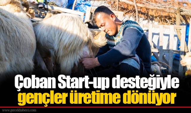 Çoban Start-up desteğiyle gençler üretime dönüyor