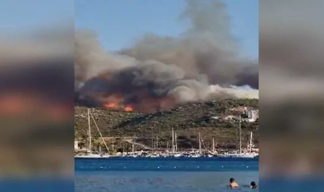 Datça'da orman yangını