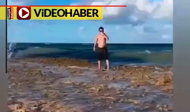 Deniz kenarında manzaralı fotoğrafın sonu acı oldu