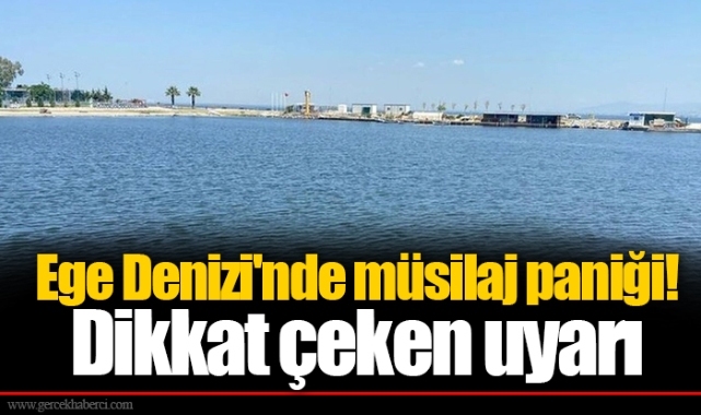 Ege Denizi'nde müsilaj paniği! Dikkat çeken uyarı