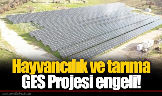 Hayvancılık ve tarıma GES Projesi engeli!