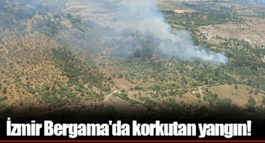 İzmir Bergama'da korkutan yangın!
