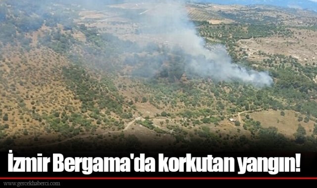 İzmir Bergama'da korkutan yangın!