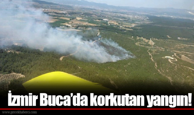 İzmir Buca'da korkutan yangın!