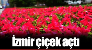 İzmir çiçek açtı