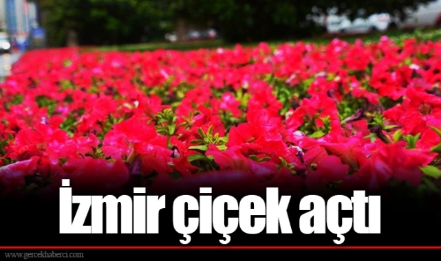 İzmir çiçek açtı