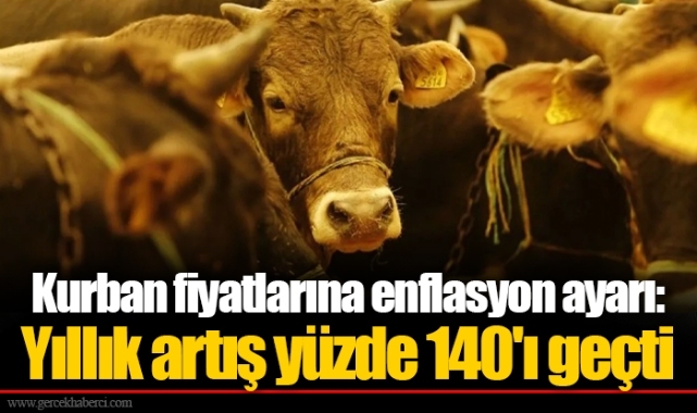 Kurban fiyatlarına enflasyon ayarı: Yıllık artış yüzde 140'ı geçti
