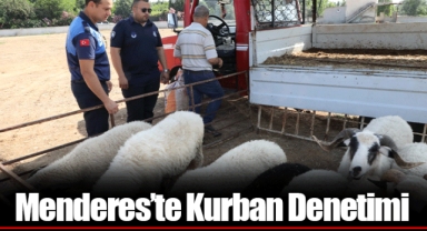 Menderes’te Kurban Denetimi