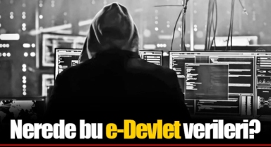Nerede bu e-Devlet verileri?