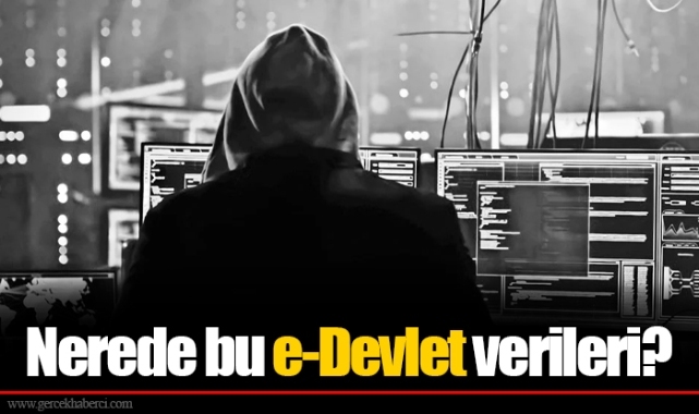 Nerede bu e-Devlet verileri?