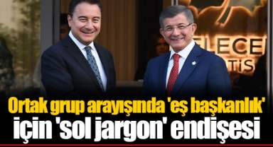 Ortak grup arayışında 'eş başkanlık' için 'sol jargon' endişesi