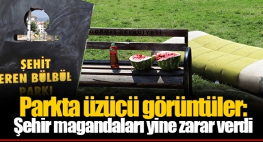 Parkta üzücü görüntüler: Şehir magandaları yine zarar verdi