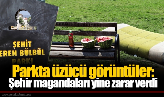 Parkta üzücü görüntüler: Şehir magandaları yine zarar verdi 