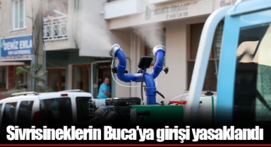 Sivrisineklerin Buca’ya girişi yasaklandı