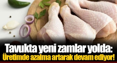 Tavukta yeni zamlar yolda: Üretimde azalma artarak devam ediyor!