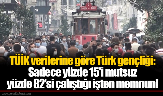 TÜİK verilerine göre Türk gençliği: Sadece yüzde 15'i mutsuz yüzde 82'si çalıştığı işten memnun!