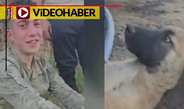 Türk askeri köpeği ayağında uyuttu, o anlar binlerce kez paylaşıldı