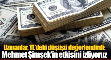 Uzmanlar, TL'deki düşüşü değerlendirdi: Mehmet Şimşek'in etkisini izliyoruz