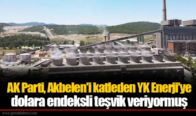AK Parti, Akbelen'i katleden YK Enerji’ye dolara endeksli teşvik veriyormuş