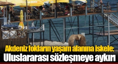 Akdeniz fokların yaşam alanına iskele: Uluslararası sözleşmeye aykırı