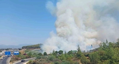 Alevler ormanlık alana sıçradı: Bodrum yangını büyüyor