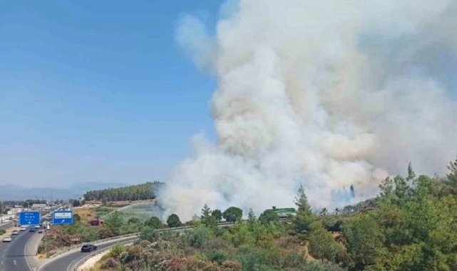 Alevler ormanlık alana sıçradı: Bodrum yangını büyüyor