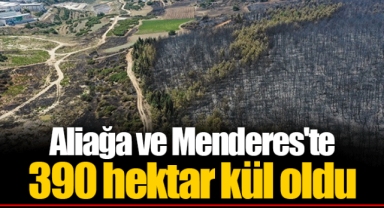 Aliağa ve Menderes'te 390 hektar kül oldu