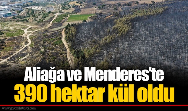 Aliağa ve Menderes'te 390 hektar kül oldu