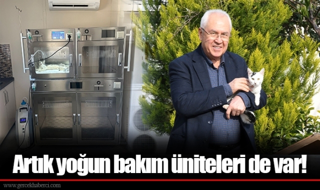 Artık yoğun bakım üniteleri de var!