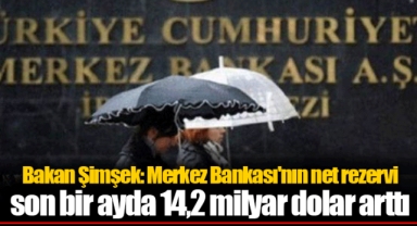 Bakan Şimşek: Merkez Bankası'nın net rezervi son bir ayda 14,2 milyar dolar arttı