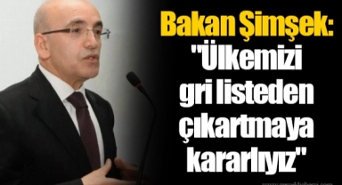 Bakan Şimşek: