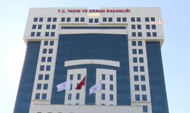 Bakanlıkta 9 üst düzey görevli görevinden alındı: Aralarında tepki çeken karara imza atan da var