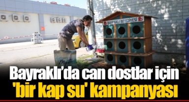 Bayraklı’da can dostlar için 'bir kap su' kampanyası