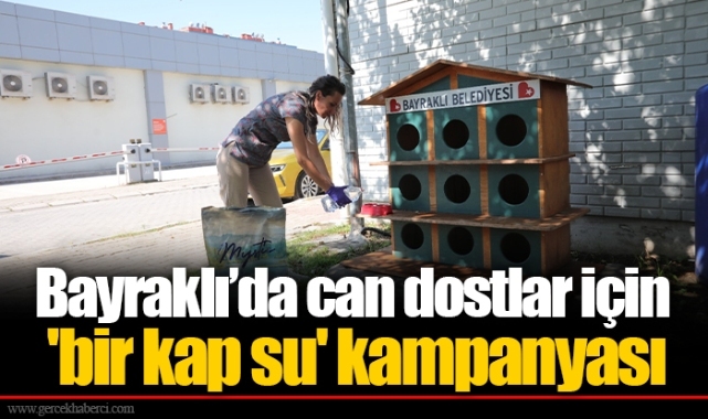 Bayraklı’da can dostlar için 'bir kap su' kampanyası