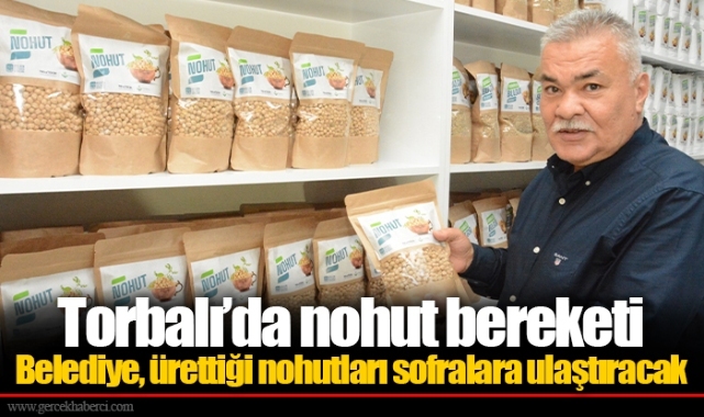 Belediye, ürettiği nohutları sofralara ulaştıracak