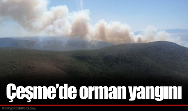 Çeşme’de orman yangını