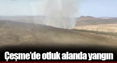 Çeşme’de otluk alanda yangın