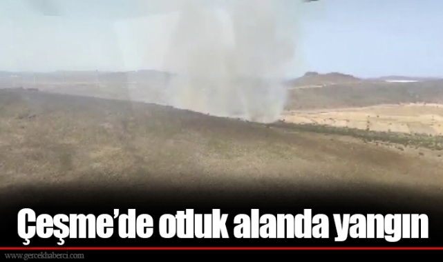 Çeşme’de otluk alanda yangın