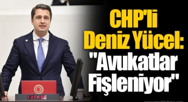 CHP'li Deniz Yücel: