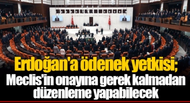 Erdoğan'a ödenek yetkisi; Meclis'in onayına gerek kalmadan düzenleme yapabilecek