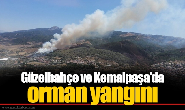 Güzelbahçe ve Kemalpaşa'da orman yangını
